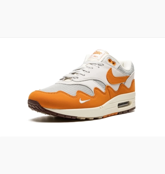 Кроссовки Nike Air Max 1 Patta Waves Monarch DH1348-001 фото 5 — интернет-магазин Tapok
