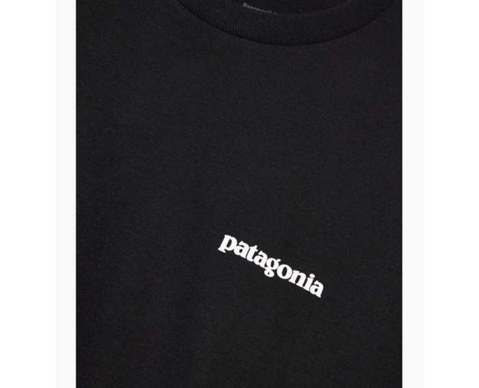 Футболка Patagonia P-6 Logo Responsibili-Tee 38504BLK фото 2 — интернет-магазин Tapok