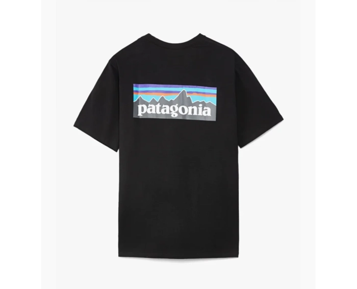 Футболка Patagonia P-6 Logo Responsibili-Tee 38504BLK фото 4 — интернет-магазин Tapok