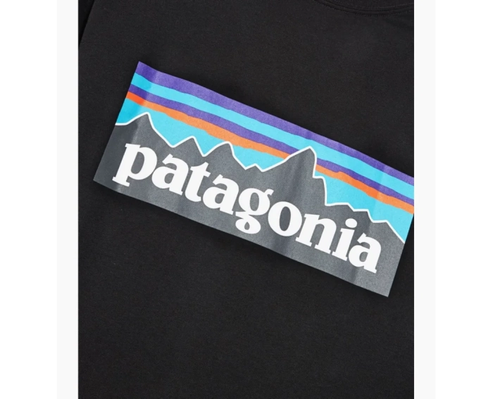 Футболка Patagonia P-6 Logo Responsibili-Tee 38504BLK фото 7 — интернет-магазин Tapok