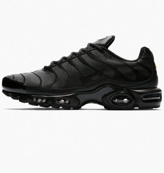 Чоловічі кросівки NIKE AIR MAX PLUS AJ2029-001 фото 1 — інтернет-магазин Tapok