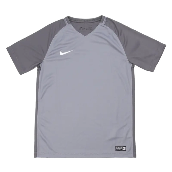 Футболка Nike 881484-065 фото 1 — интернет-магазин Tapok