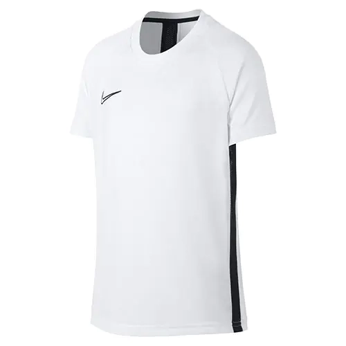 Футболка Nike Academy AO0739-100 AO0739-100 фото 1 — интернет-магазин Tapok