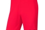 Шорты NIKE PARK III BV6865-635 Фото 1