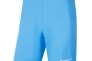 Шорти NIKE PARK III BV6865-412 Фото 1