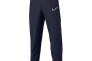 Штани Nike Academy AR7994-452 AR7994-452 Фото 1