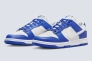 Кросівки чоловічі Nike Dunk Low Sc (FN3416-001) Фото 1