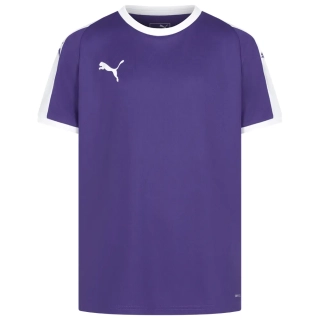 Футболка дитяча PUMA Liga Jersey 703418-10