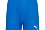 Шорти Puma Liga Core Дитячі 703437-02 Фото 1
