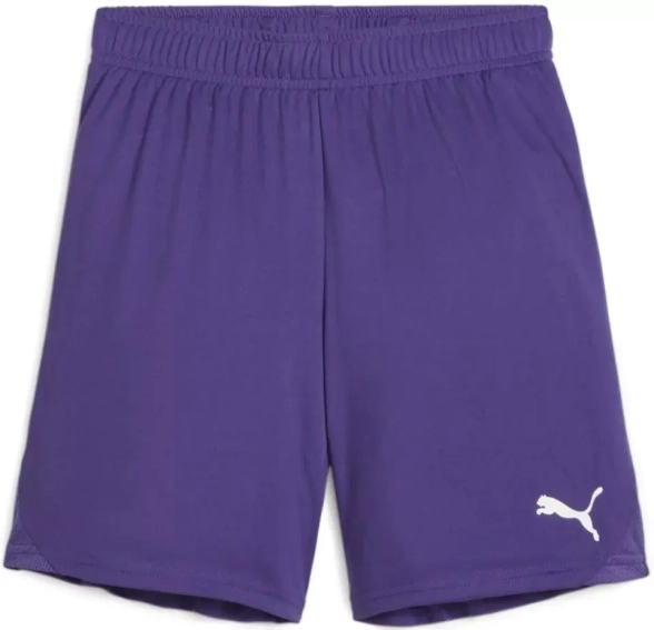Шорты детские PUMA teamGOAL Violet-PUMA 705753-10 фото 1 — интернет-магазин Tapok
