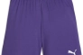 Шорты детские PUMA teamGOAL Violet-PUMA 705753-10 Фото 1