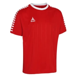 Футболка Select Argentina player shirt s/s 622500-003
