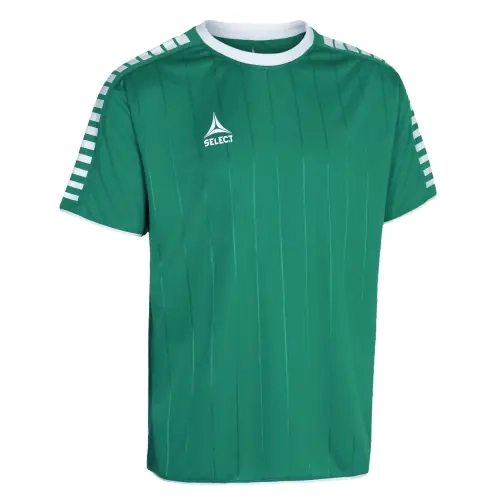 Футболка Select Argentina player shirt s/s 622500-005 фото 1 — интернет-магазин Tapok