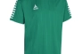 Футболка Select Argentina player shirt s/s 622500-005 Фото 1