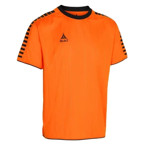 Футболка Select Argentina player shirt s/s 622500-009 фото 1 — интернет-магазин Tapok