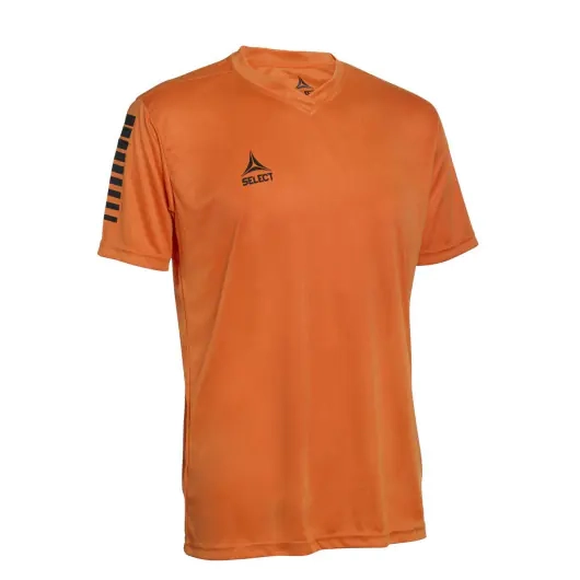 Футболка Select Pisa player shirt s/s 624130-004 фото 1 — интернет-магазин Tapok