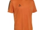 Футболка Select Pisa player shirt s/s 624130-004 Фото 1