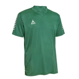Футболка Select Pisa player shirt s/s 624130-005