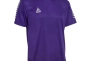 Футболка Select Pisa player shirt s/s 624130-009 Фото 1
