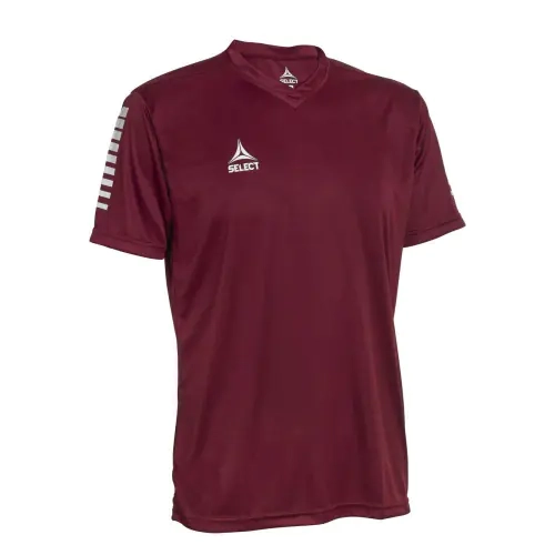 Футболка Select Pisa player shirt s/s 624130-011 фото 1 — интернет-магазин Tapok