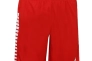 Шорты Select Argentina player shorts 622540-004 Фото 1
