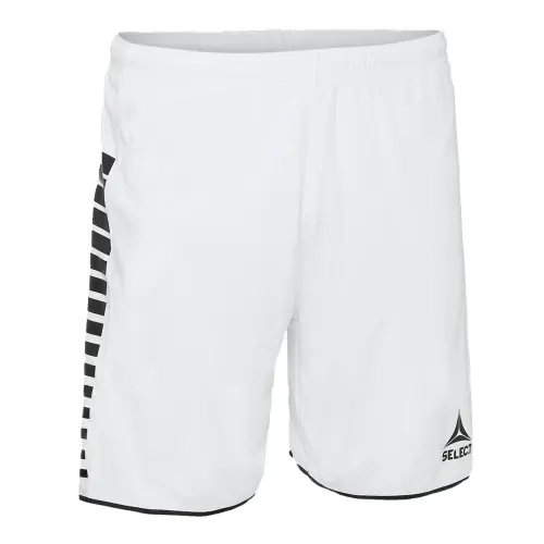Шорты Select Argentina player shorts 622540-012 фото 1 — интернет-магазин Tapok