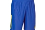 Шорты Select Argentina player shorts 622540-053 Фото 1