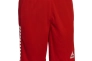 Шорты Select Monaco player shorts 620020-005 Фото 1