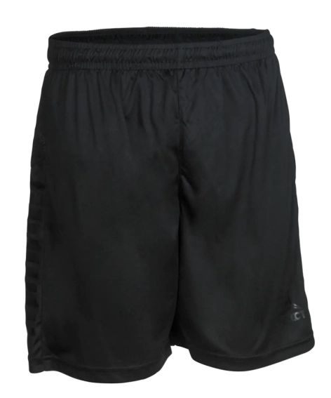 Шорты Select Spain player shorts 620330-191 фото 1 — интернет-магазин Tapok