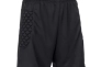 Шорты вратарские Select Argentina goalkeeper&#39;s shorts 622660-010 Фото 1