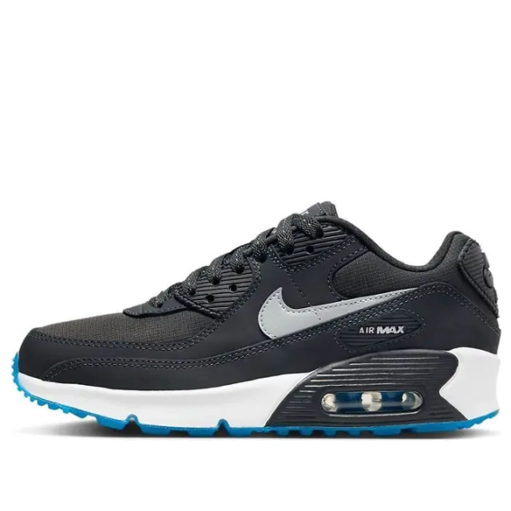 Кросівки Nike Air Max 90 Gs FV0361-001 фото 1 — інтернет-магазин Tapok