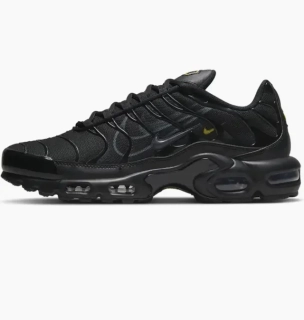 Кроссовки Nike Air Max Plus DX2652-001