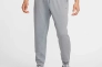 Брюки мужские Nike M Dri-Fit Uv Primary Jogger Pant (FZ0975-065) Фото 1