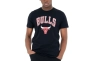 Футболка New Era NOS NBA REGULAR TEE BULLS 60416749 Фото 1