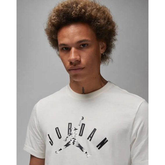 Футболки JORDAN J FLT MVP J SS CREW FB7365-133 фото 2 — интернет-магазин Tapok