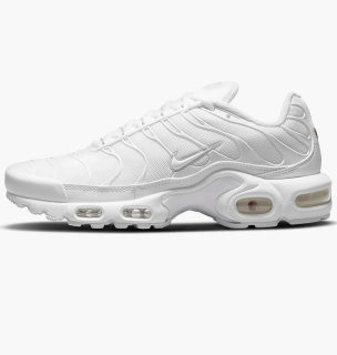 Кросівки Nike Air Max Plus White DM2362-100