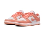 Кросівки жіночі Nike Dunk Low Next Nature (DD1873-109) Фото 1