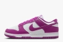 Кроссовки женские Nike Dunk Low Next Nature (DD1873-110) Фото 1
