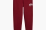 Штани Puma Squad Sweatpants Fl Cl Bordo 681800-13 Фото 1