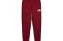 Штани Puma Squad Sweatpants Fl Cl Bordo 681800-13 Фото 2