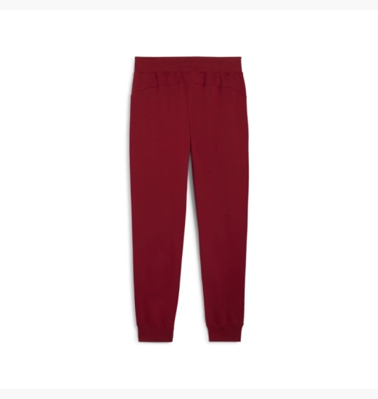 Штани Puma Squad Sweatpants Fl Cl Bordo 681800-13 фото 3 — інтернет-магазин Tapok