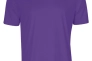 Футболка Joma COMBI фіолетовий Чол 2XL-3XL 100052.550 Фото 1