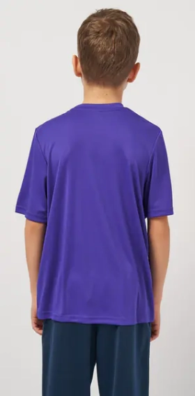 Футболка Joma COMBI фіолетовий Чол 2XL-3XL 100052.550 фото 4 — інтернет-магазин Tapok