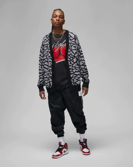 Футболка JORDAN MJ BRAND GFX SS CREW 1 DX9593-010 фото 5 — интернет-магазин Tapok