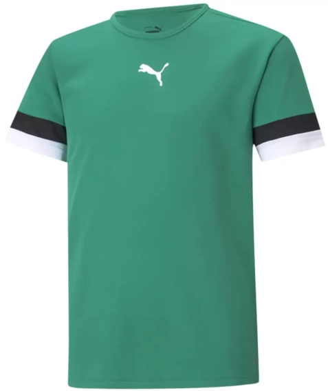 Футболка Puma teamRISE Jersey Jr зеленый Дет 140 см 704938-05 фото 1 — интернет-магазин Tapok