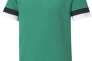 Футболка Puma teamRISE Jersey Jr зеленый Дет 140 см 704938-05 Фото 1