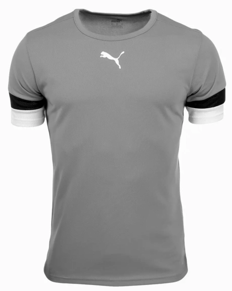 Футболка Puma teamRISE Jersey Jr серый Дет 140 см 704938-13 фото 1 — интернет-магазин Tapok