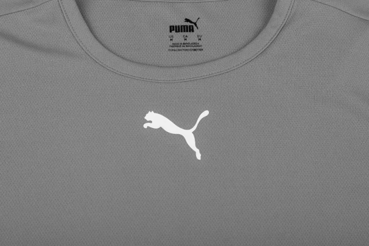 Футболка Puma teamRISE Jersey Jr серый Дет 140 см 704938-13 фото 2 — интернет-магазин Tapok