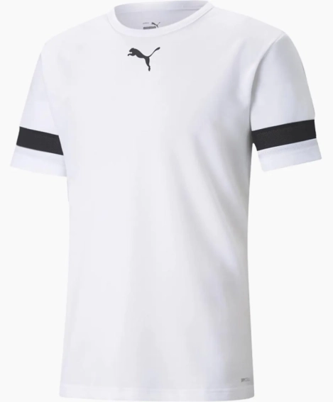 Футболка Puma teamRISE Jersey білий Чол L 704932-04 фото 1 — інтернет-магазин Tapok