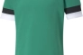 Футболка Puma teamRISE Jersey зеленый Муж L 704932-05 Фото 1
